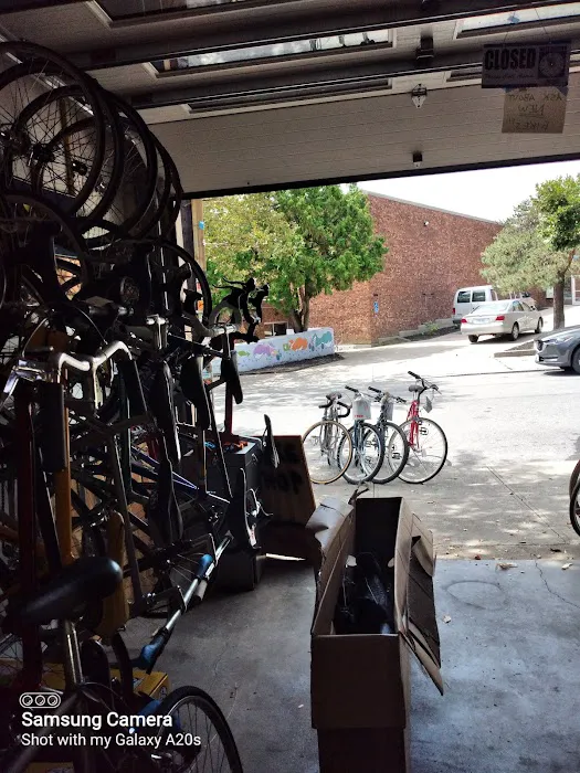 Friendly Bicycle Picture 2
