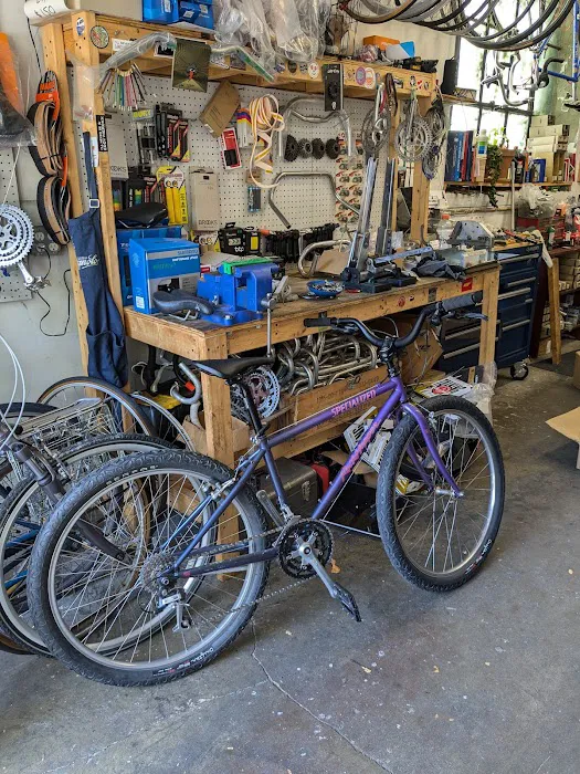 Friendly Bicycle Picture 4