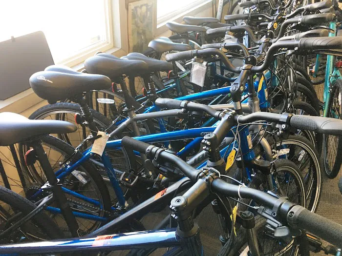 Your Bike Shop Picture 4