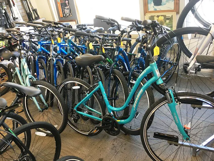 Your Bike Shop Picture 3