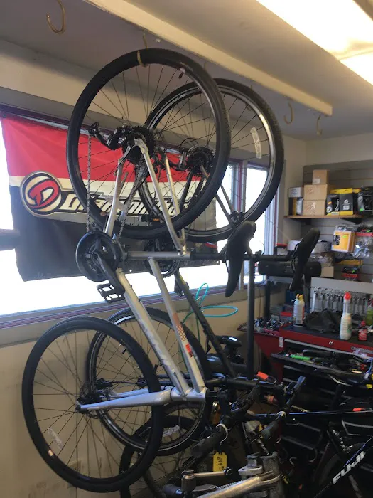 Your Bike Shop Picture 7