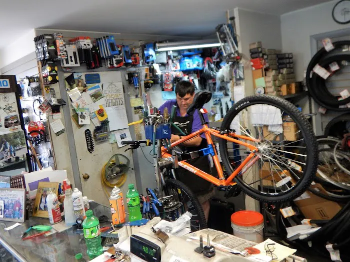 Your Bike Shop Picture 6