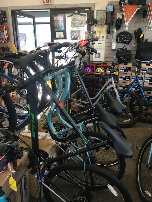 Your Bike Shop Picture 10