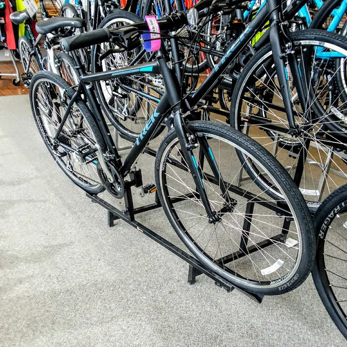 Trek Bicycle East Providence Picture 3