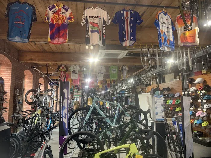 Scottee's Westport Bicycle Picture 2