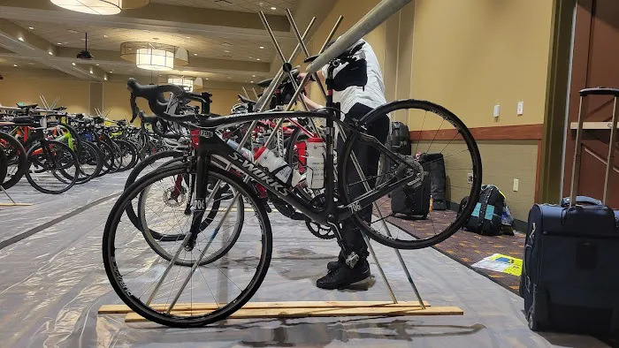 Scottee's Westport Bicycle Picture 3