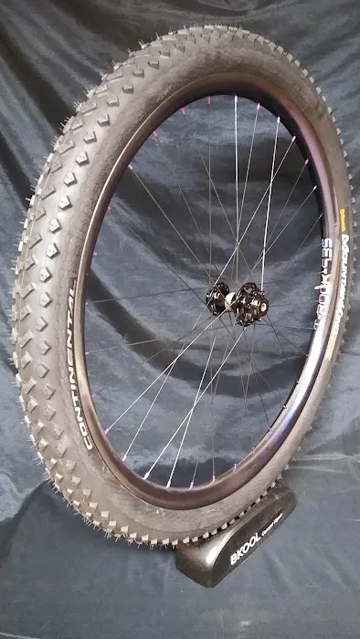 Scorpion Bike Wheels Picture 6