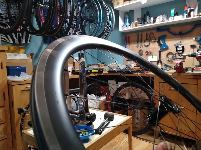 Scorpion Bike Wheels Picture 5