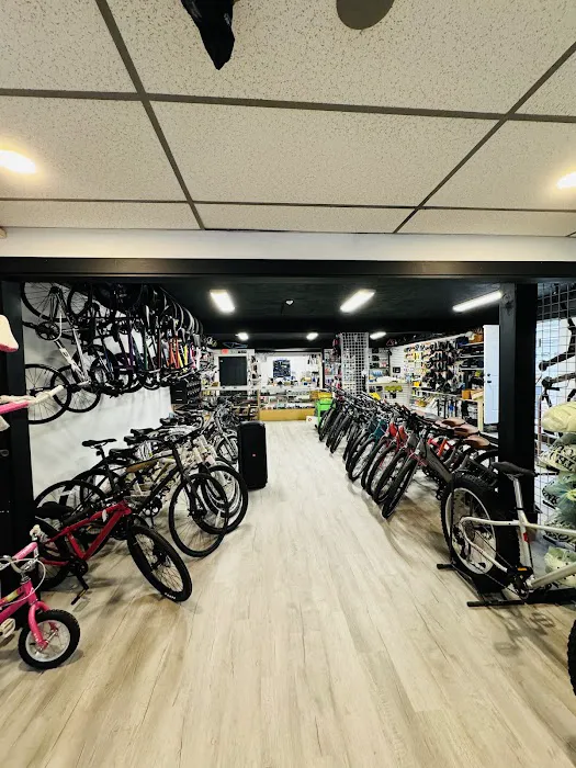 Bike Zone Fairhaven Picture 1