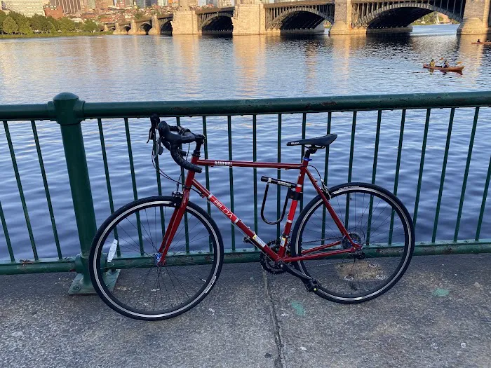 Cambridge Used Bicycles Picture 4