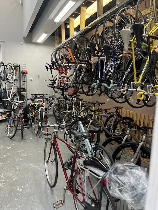 Cambridge Used Bicycles Picture 8