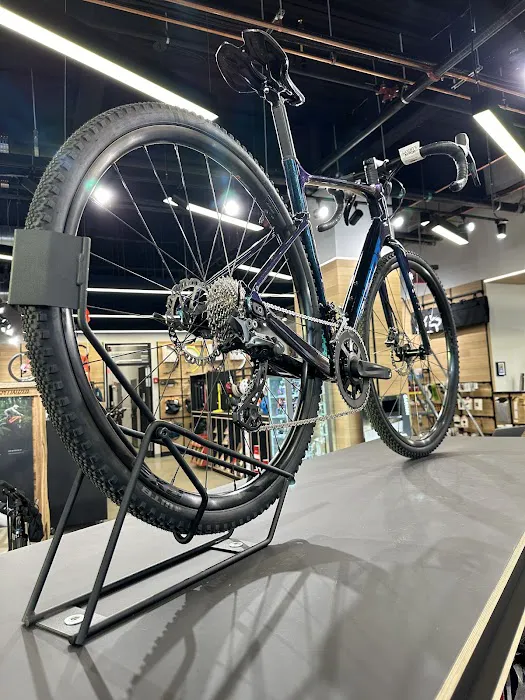 Landry's Bicycles Picture 4