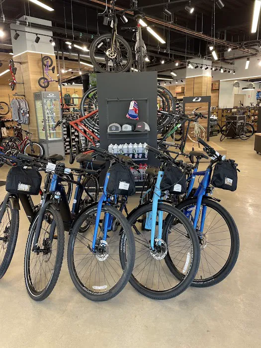 Landry's Bicycles Picture 6
