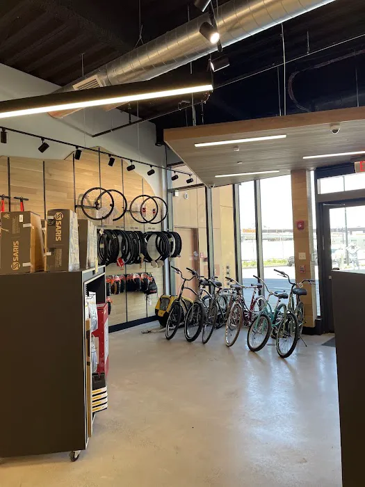 Landry's Bicycles Picture 7