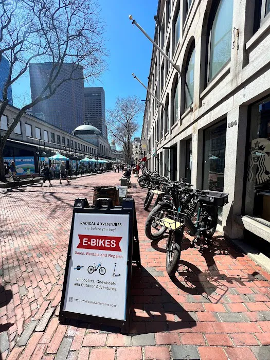 Radical Adventures Boston Picture 9