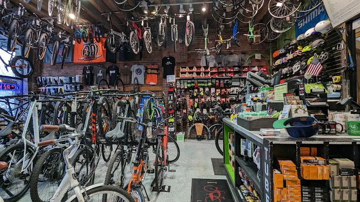 Urban Cycles Picture 8