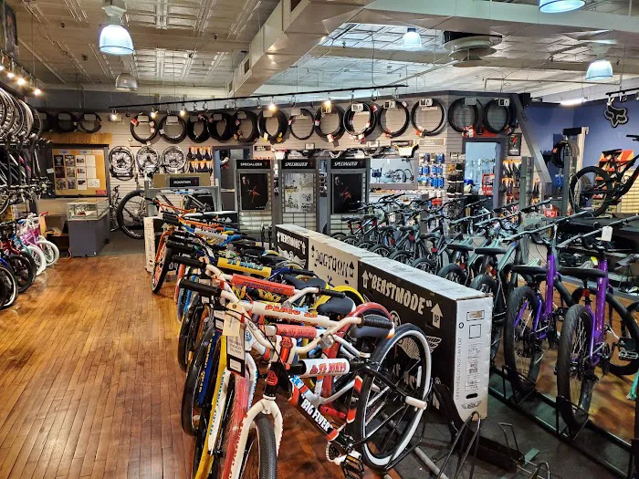 North Shore Cycle Picture 6