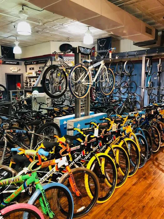 North Shore Cycle Picture 9