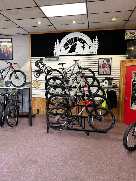 The Bicycle Link Picture 9