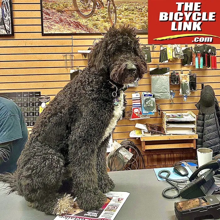 The Bicycle Link Picture 8