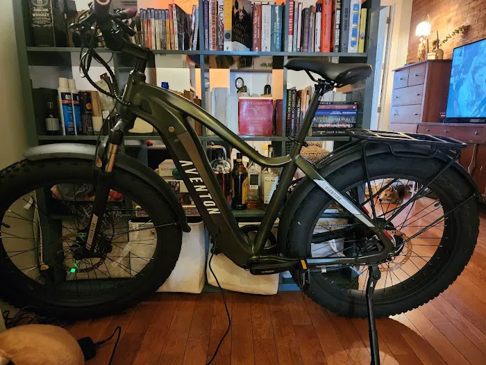 Evolution E-Bikes Picture 2