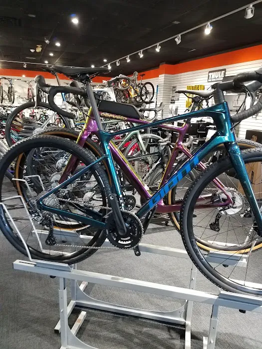bikebarn Picture 5