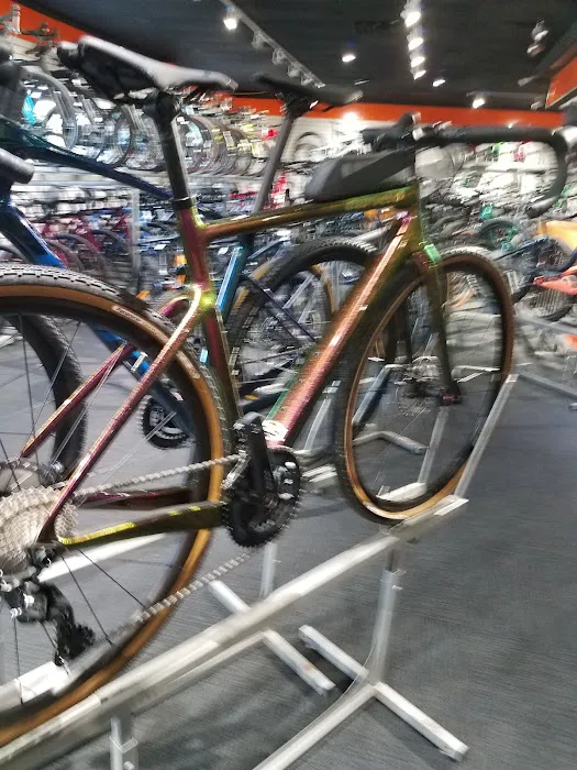 bikebarn Picture 7