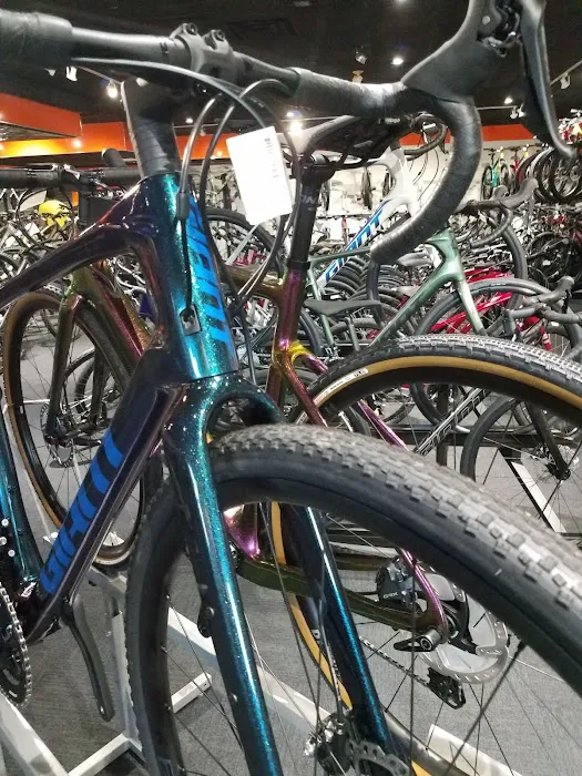 bikebarn Picture 8