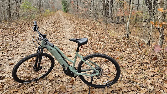 Dg Cycle Sports Picture 1