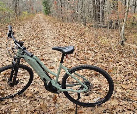 Dg Cycle Sports