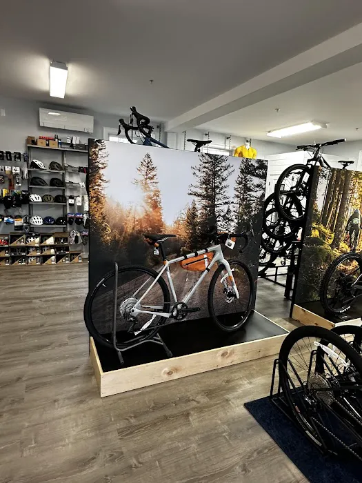 Munroe Velo Bike Shop Picture 5