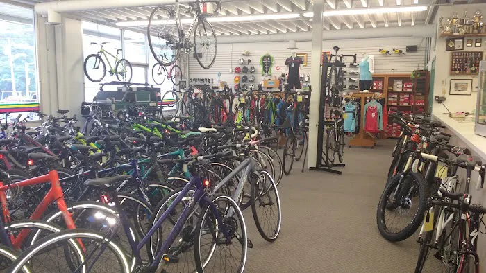 Exeter Cycles Picture 3
