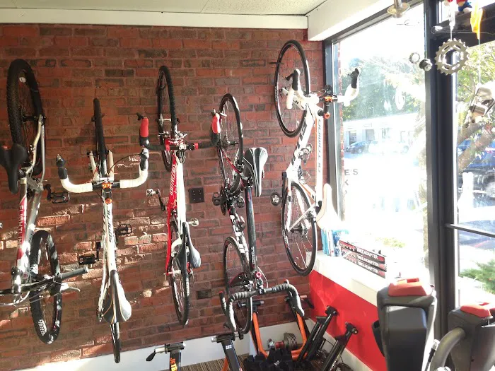 Beverly Bikes Picture 6
