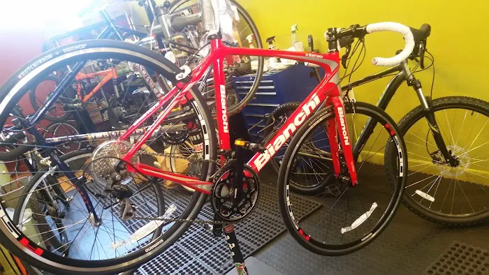 Centraal Cycle Picture 2