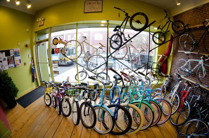 Centraal Cycle Picture 5