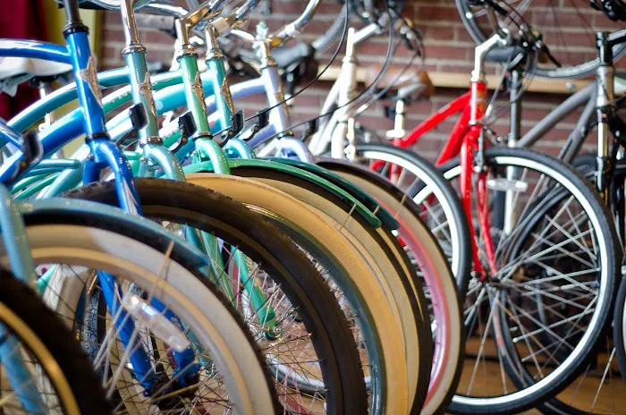 Centraal Cycle Picture 7