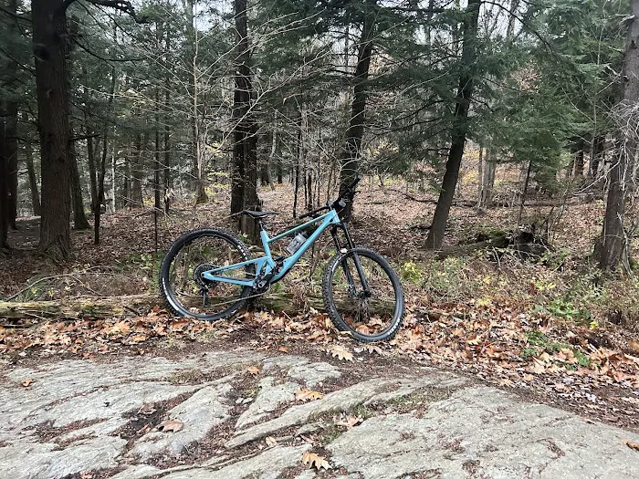 Drummond Custom Cycles Picture 4