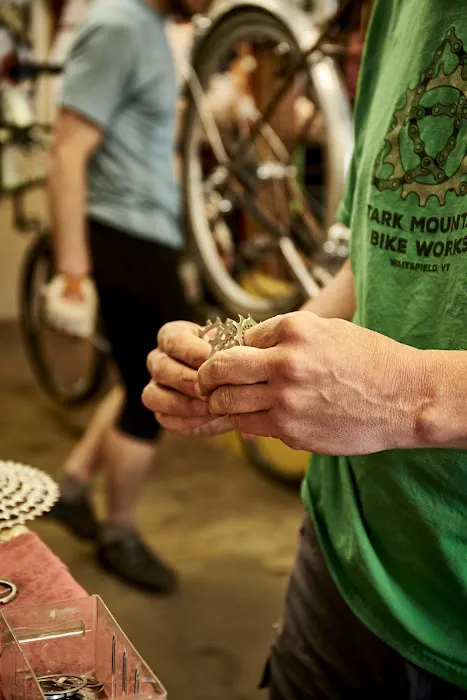 Stark Mountain Bike Works Picture 5