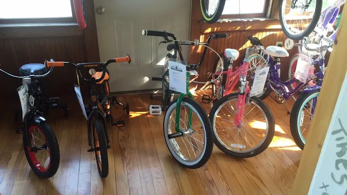 The Bike Den Picture 9