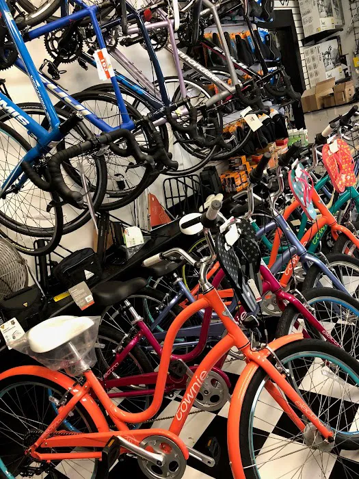 Bike Zone Picture 2