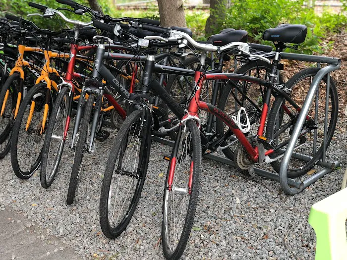 Bike Zone Picture 5