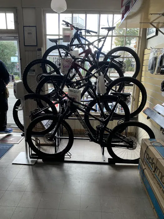 Corner Cycle Picture 6