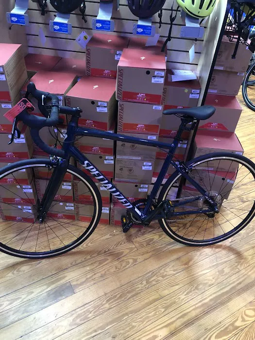 Serious Cycles Picture 2