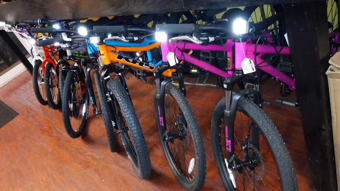 Dover Cyclery LLC Picture 1