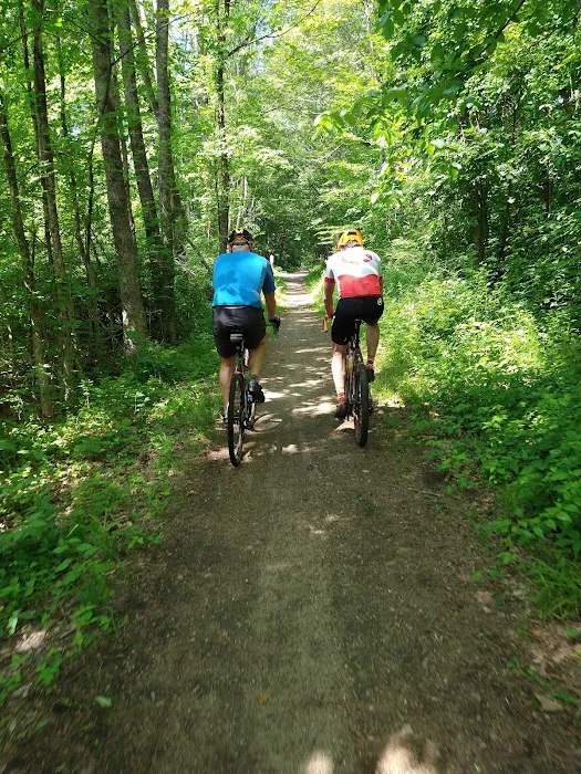 Dover Cyclery LLC Picture 6