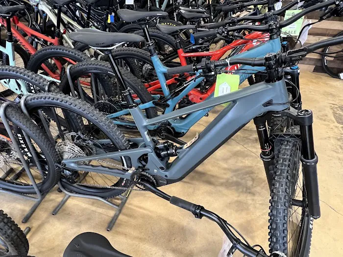 Papa Wheelies Bicycle Shop Picture 5
