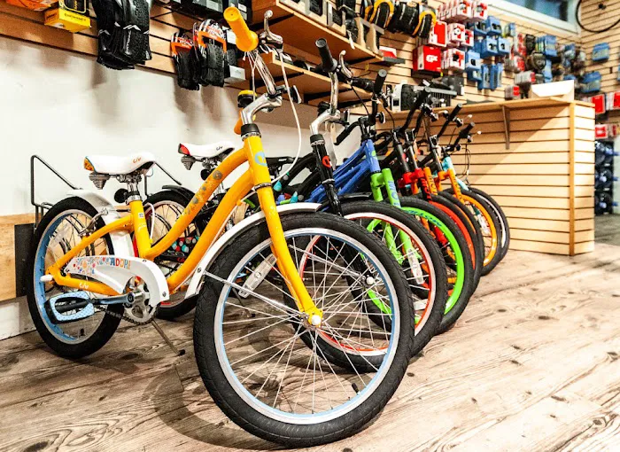 Papa Wheelies Bicycle Shop Picture 4