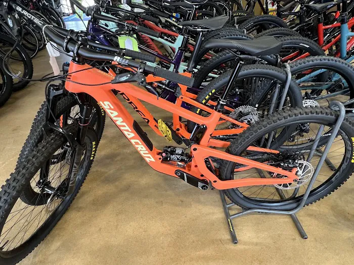 Papa Wheelies Bicycle Shop Picture 8