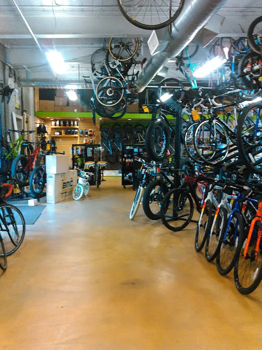 Papa Wheelies Bicycle Shop Picture 9
