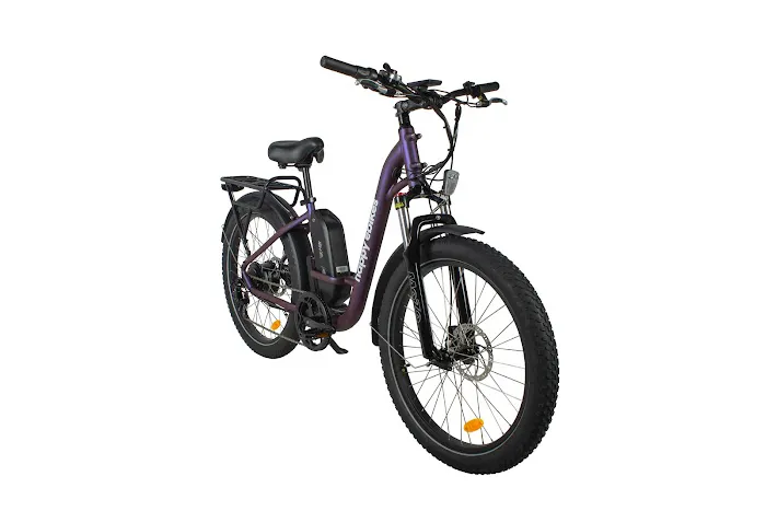 Happy E-bikes Cape Ann Picture 8